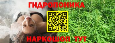 стафф Шебекино