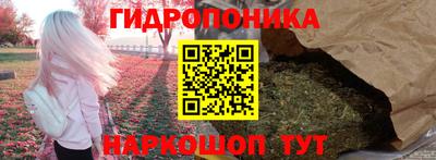 стафф Шебекино