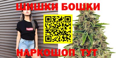 стафф Шебекино