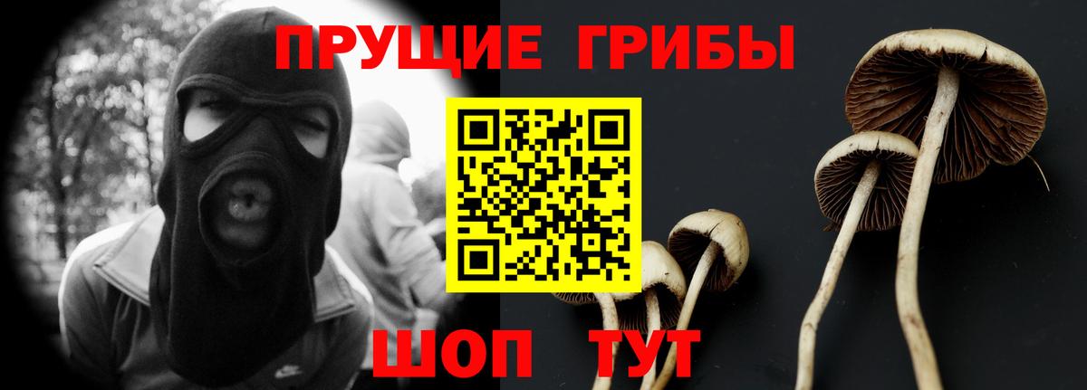 Богданович  Галлюциногенные грибы мицелий  Вход с VPN 